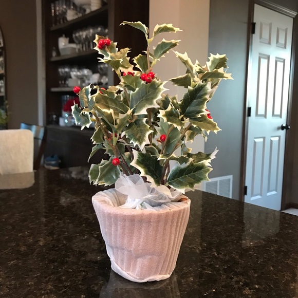 New Pottery Barn Faux Potted Holly, Holiday Plant - Picture 9 of 13